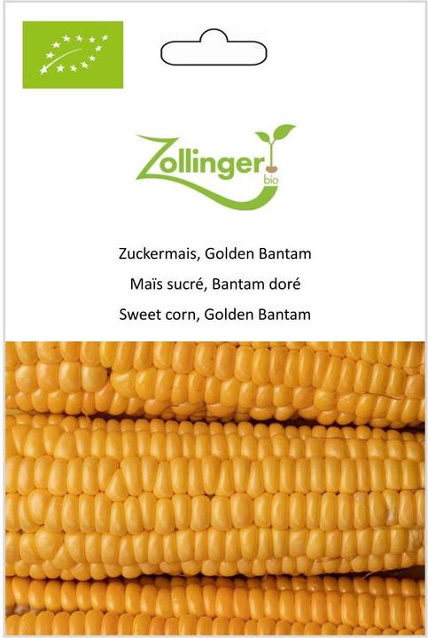 Image du produit Zollinger Bio Maïs doux, Golden Bantam