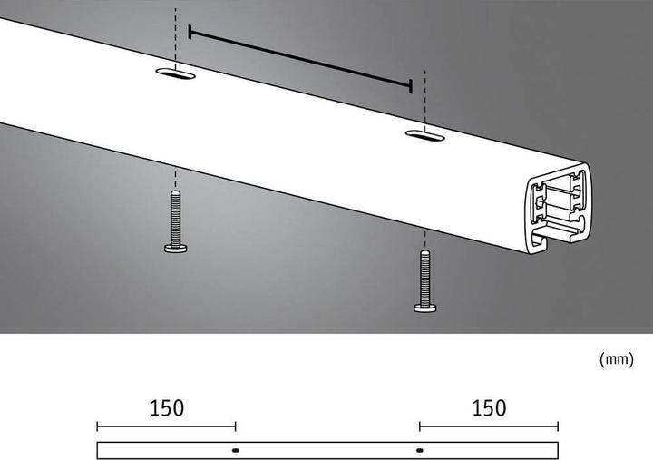Image du produit Paulmann Rail URail