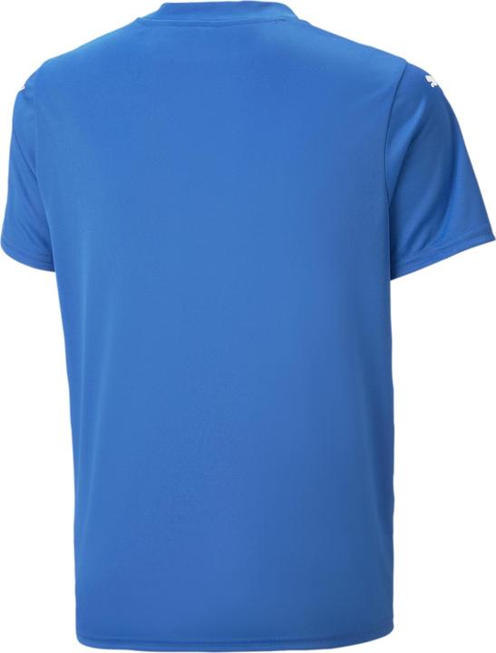 Image du produit Puma teamULTIMATE Jersey Jr (128)