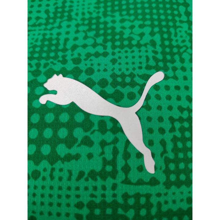 Actual product image Puma teamCUP Training Jersey (M)