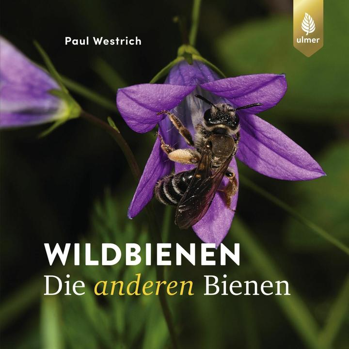 Immagine prodotto Westrich:Wildbienen die anderen Bienen (Tedesco, Paul Westrich, 2024)