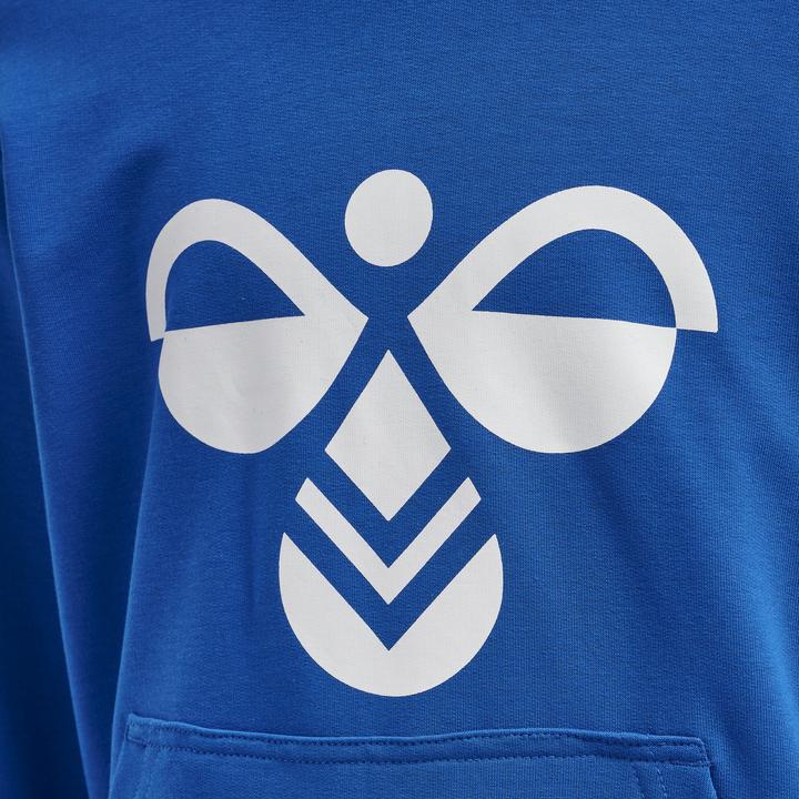 Produktbild hummel Cuatro Hoodie (110)