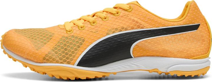 Produktbild Puma evoSPEED Haraka 8 Unisex Spikeless (37)