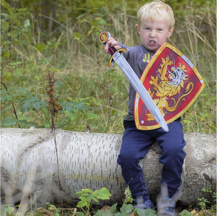 Image du produit Liontouch Noble épée et bouclier de chevalier, rouge
