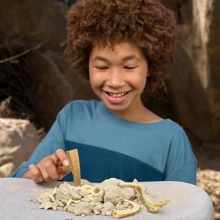 Actual product image Magni Robo Alive Dino Fossil Find Series 1