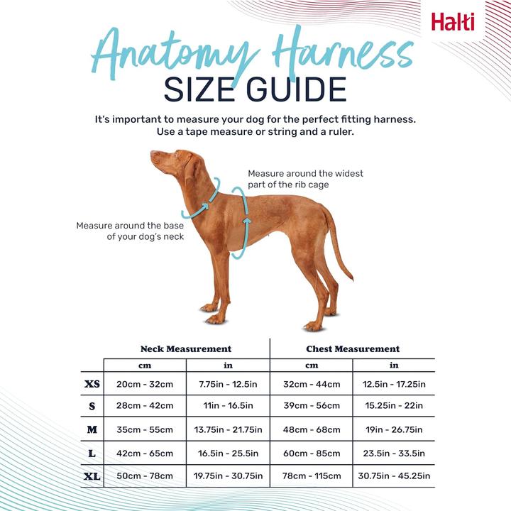 Produktbild Company of Animals Halti Anatomy XL Hundegeschirr (XL, Hund, Allgemein)