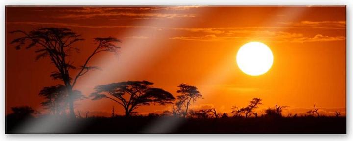 Produktbild Trenddeko Afrikanische Steppe - Panorama (40 x 100 cm)