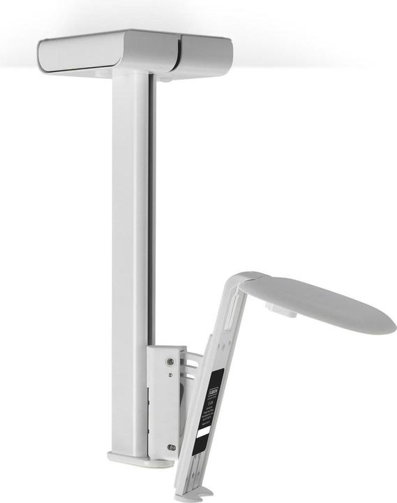 Actual product image Flexson Ceiling Mount for Sonos One & PLAY:1 (1 pcs., Wall installation, Pivoting, Tiltable)