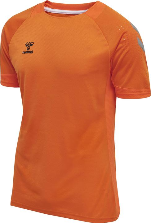 Orange tiger