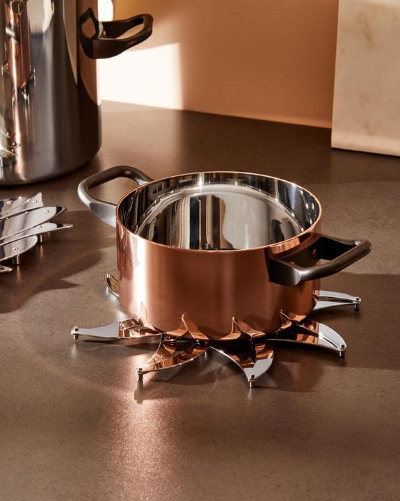 Image du produit Alessi Dessous de plat platine (1 x, Dessous de poêle)