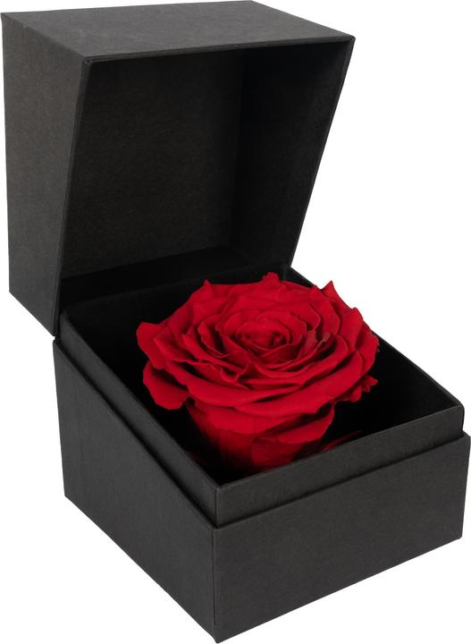 Produktbild Migros Ostschweiz Rose in Geschenksbox (Infinity Blumen)