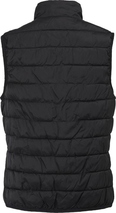 Actual product image Regatta Womens/Ladies Hillpack II Gilet (36 D)