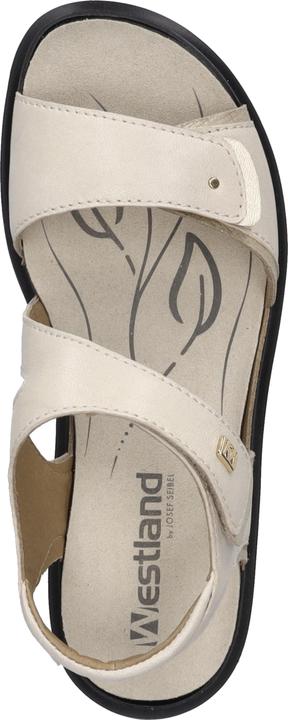 Immagine prodotto Westland 25901-644 (37)