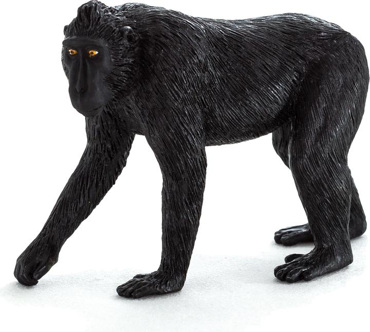 Actual product image Animal Planet Crested Monkey