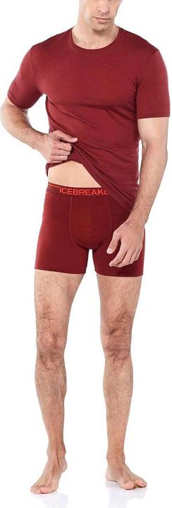 Actual product image Icebreaker Anatomica (L)