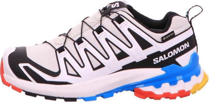 Actual product image Salomon Outdoor shoe XA PRO 3D V9 GTX W Luna (39.5)