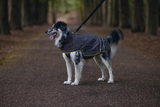 Actual product image Beeztees Seja (52, Dog raincoat)