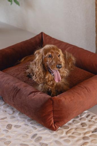 Actual product image Designed by Lotte Ribbed divan bed (Dog)