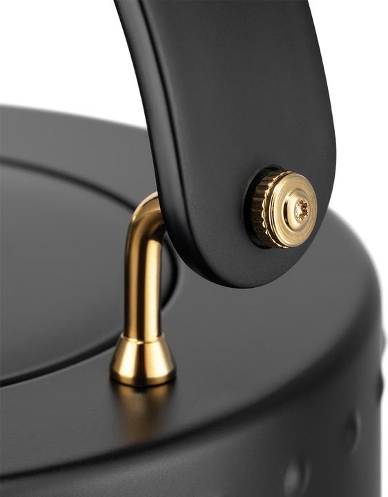 Actual product image Bodum Elektrischer Wasserkocher (0.50 l)