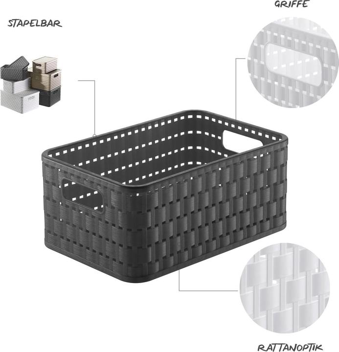 Image du produit Rotho Pays (1 x, 23.7 x 15.8 x 10.8 cm)