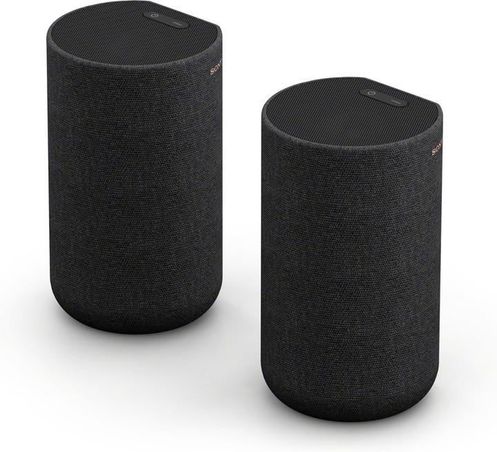 Sony SA-RS5 (1 paire, 180 W)