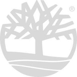 Actual product image Timberland Alburn 6in Lace Waterproof Boot (42)