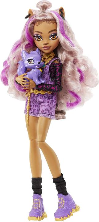 Actual product image Monster High Clawdeen Wolf Doll With Pet And Accessories