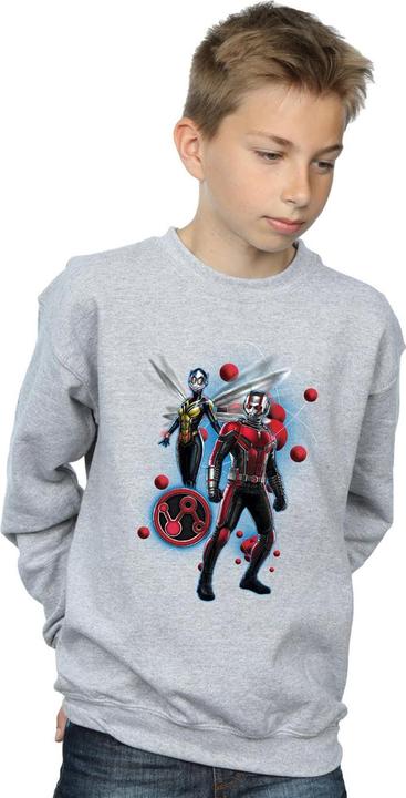 Immagine prodotto Sweat Garçons Ant-Man And The Wasp Particle Pose (128)