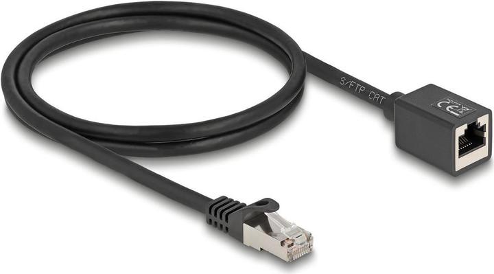 Actual product image Delock Network extension cable RJ45 plug to RJ45 socket (S/FTP, CAT6a, 1 m)