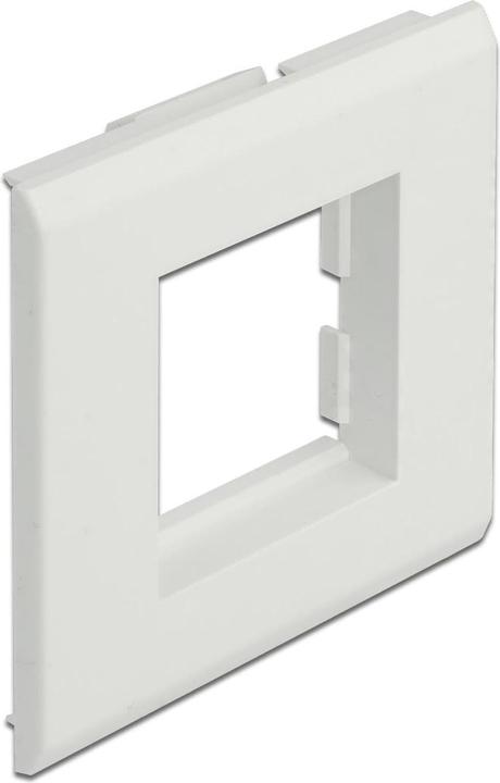 Actual product image Delock Easy 45 module support for device installation trunking 85 x 80 mm