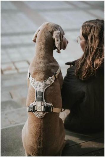 Actual product image Hunter Harness Camouflage Divo for dogs Beige L-XL (Dog, General)