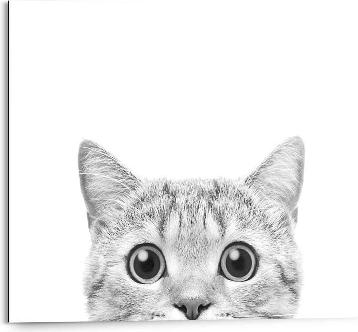 Image du produit Reinders Le chat regarde (40 x 50 cm)