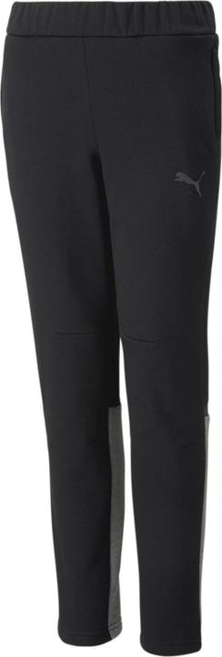 Actual product image Puma teamCUP Casuals Pants Jr (152)