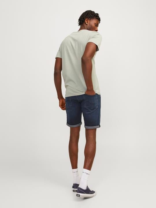 Image du produit Jack & Jones JJIRICK JJICON SHORTS GE 604 I.K SS24 SN (XL)