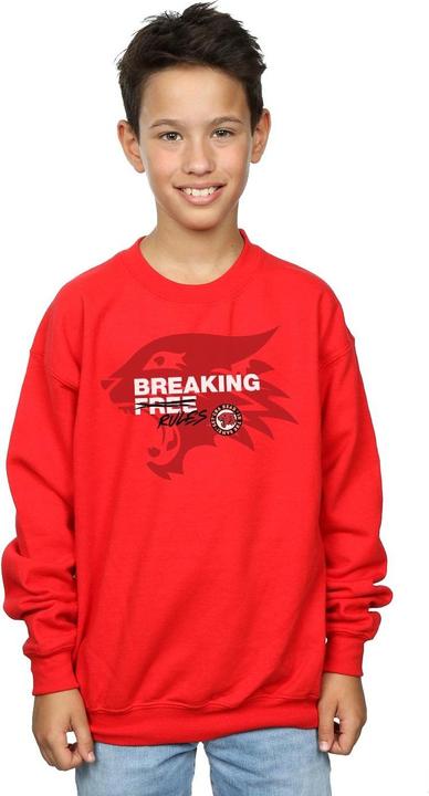 Actual product image Disney Boys High School Musical The Musical Breaking Rules Sweatshirt (140, 146)