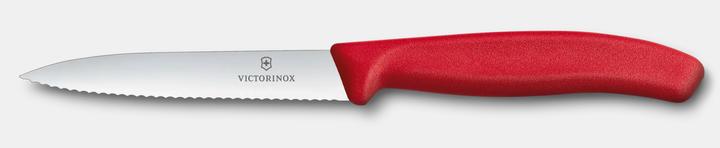 Actual product image Victorinox Carver (10 cm)
