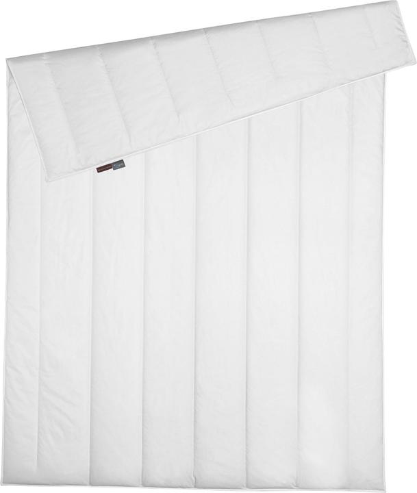Actual product image Centa-Star Famous (440 g, 200 x 220 cm)
