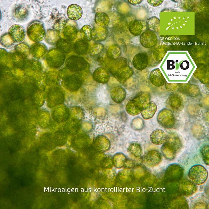 Produktbild Effective Nature Bio Chlorella hochdosiert (420 Stück, Tabletten, 210 g)