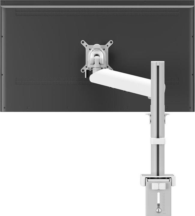 Produktbild Vogels Pro Motion 4127 (Wand, 42.99")