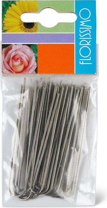 Actual product image Do it + Garden Ivy needles (0.06 m)