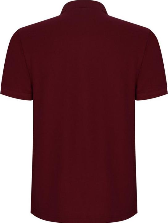Actual product image Alpinia Mens Pegaso Premium Short-Sleeved Polo Shirt (S)