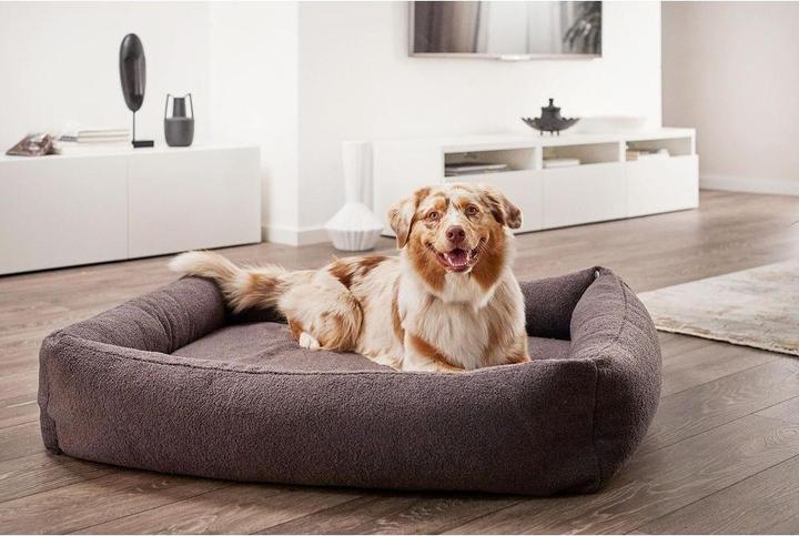 Immagine prodotto Laboni Lampada per cani Classic Teddy L (Cane)