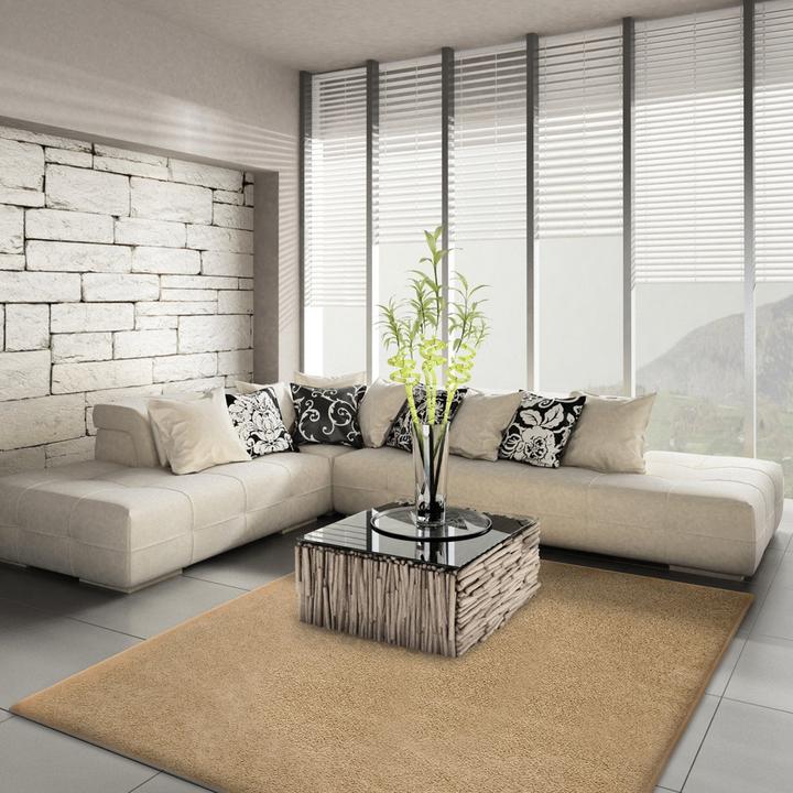 Immagine prodotto Karat Hochflor-Teppich (100 x 150 cm)