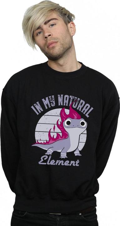 Actual product image Disney Mens Frozen 2 Salamander Bruni Element Sweatshirt (S)