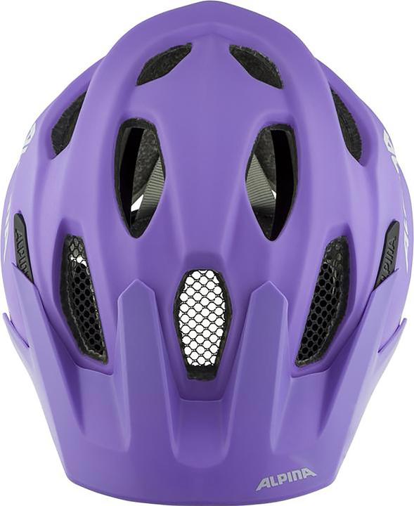 Image du produit ALPINA SPORTS Carapax Jr Flash (56 cm)