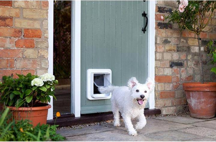 Actual product image SureFlap Connect (Microchip Cat Flap)