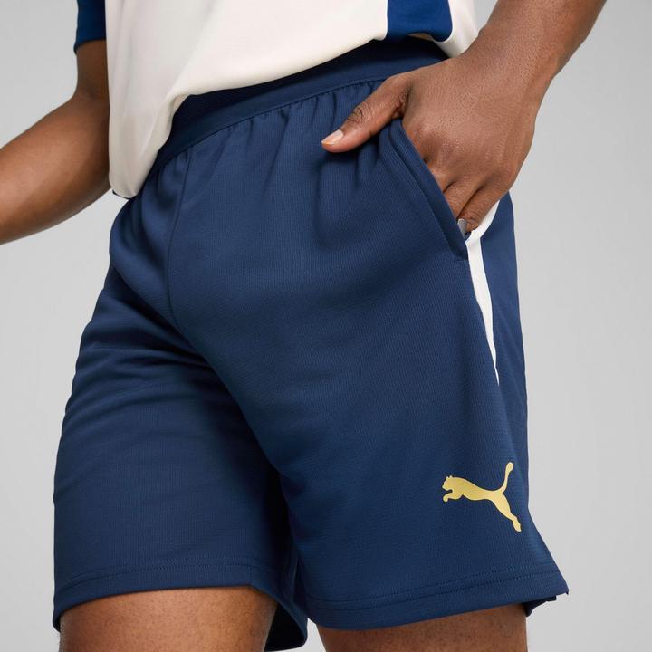 Produktbild Puma FPF Training Shorts (M)