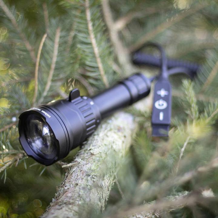 Image du produit Dörr Zoom (16.80 cm, 800 lm)