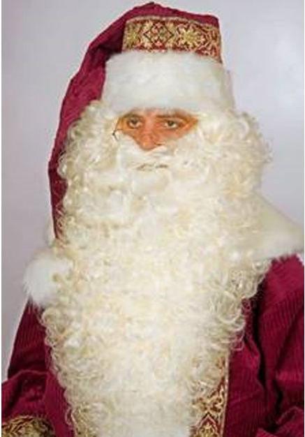 Actual product image Festartikel Müller Long beard