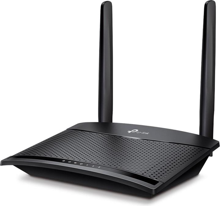Actual product image TP-Link TL-MR100